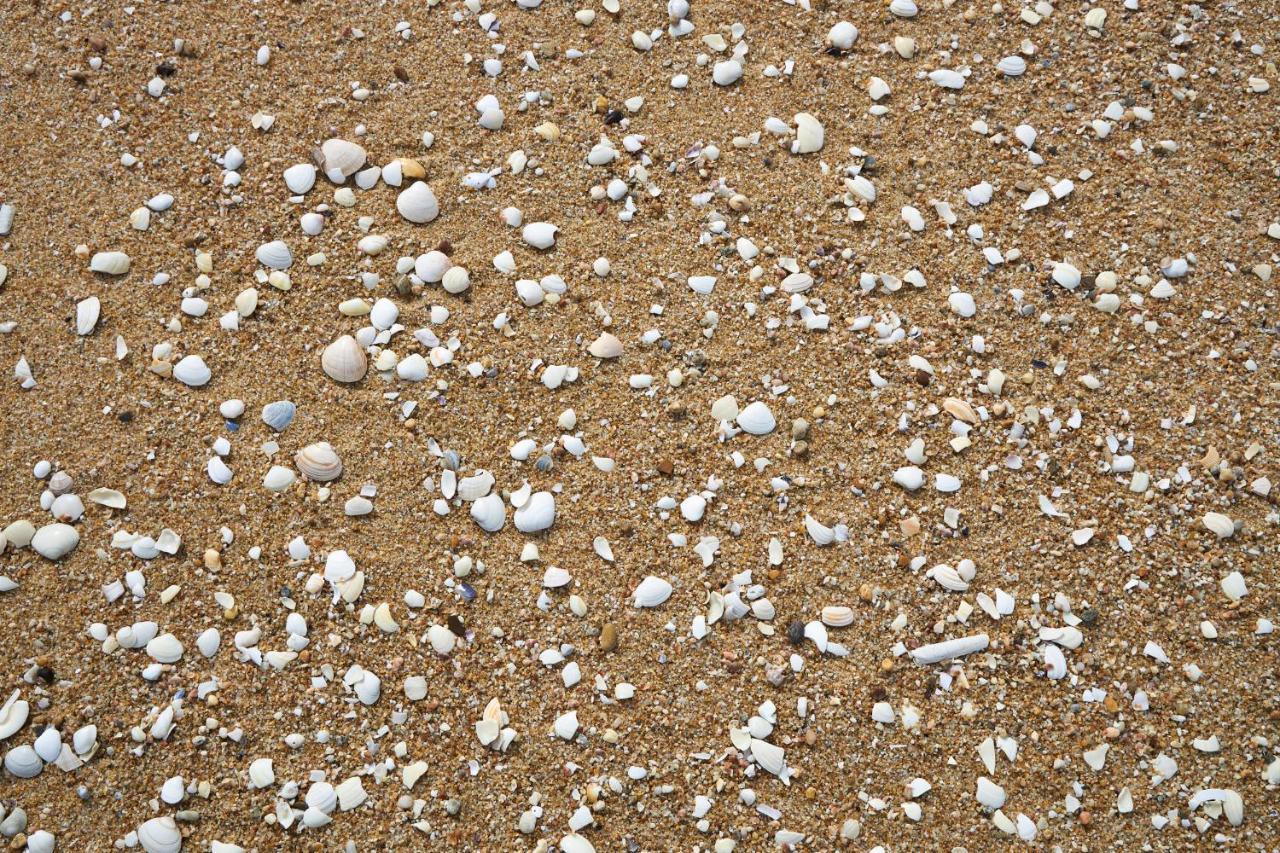 apart@CostaSantoAndré Beach Santiago do Cacém Exterior foto